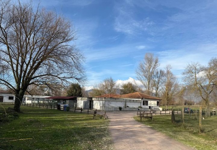 Servizi ridotti e territori scoperti: Ernesta Cambiotti denuncia