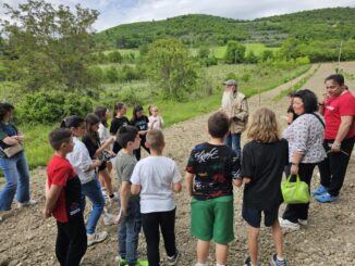 Adotta un albero cresce nel bosco sostenibile di Nocera Umbra