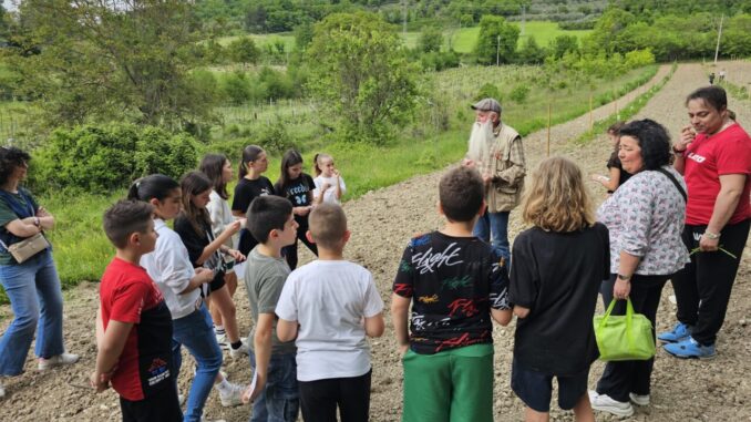 Adotta un albero cresce nel bosco sostenibile di Nocera Umbra