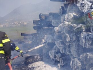 Incendio legna domato rapido intervento vigili fuoco azienda