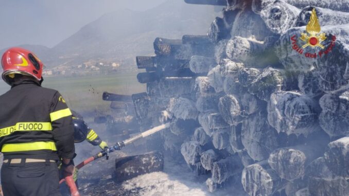 Incendio legna domato rapido intervento vigili fuoco azienda
