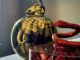 Ceramica italiana in mostra a Madrid: con Tittarelli Rubboli